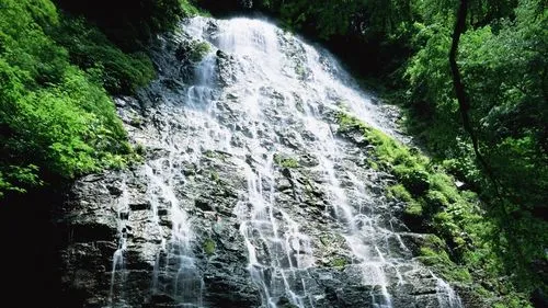 独特节能高效